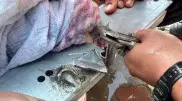 Застрял палец ребенка: алматинские спасатели провели необычную спецоперацию