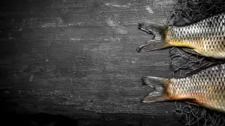 Куда отправляют изъятую у браконьеров рыбу, рассказали в Минэкологии