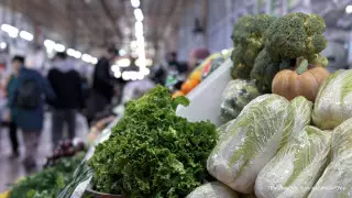 Токаев спросил главу МСХ о продовольственной безопасности Астаны