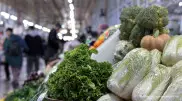 Токаев спросил главу МСХ о продовольственной безопасности Астаны