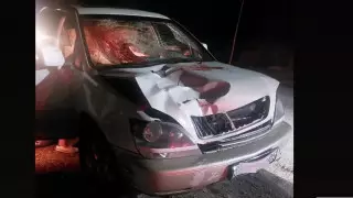 "От удара разорвало на части". Пешеход погиб недалеко от БАКАД