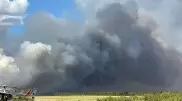 Площадь лесного пожара в "Ертiс орманы" увеличилась в полтора раза