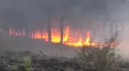 Обстановка вокруг лесного пожара в "Ертіс орманы" осложняется