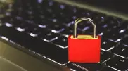 Почему затягивается раскрытие интернет-преступлений, ответили в МВД