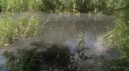 "Ушла раньше акима": сельчане жалуются на отсутствие воды в Мангистау