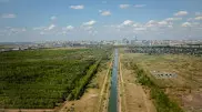 Зеленый пояс пополнят в Астане после критики Токаева