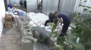 Иностранец организовал нарколабораторию в Астане