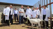 Предприниматели из Мангистау впервые примут участие в международном конкурсе сыров