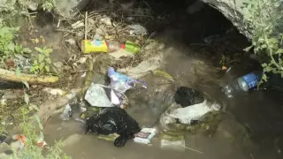 "Людям все равно": реку завалили мусором в Алматинской области