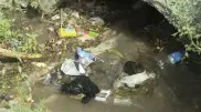 "Людям все равно": реку завалили мусором в Алматинской области