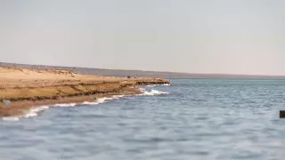 Трех девушек на надувном матрасе унесло в открытое море в Мангистау