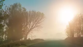 В каких городах ожидается повышенный уровень загрязнения воздуха 26 июля