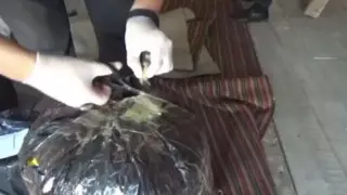 Марихуану на 9 миллионов тенге хранили в гараже наркодилеры в Костанайской области