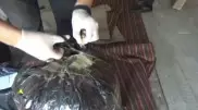 Марихуану на 9 миллионов тенге хранили в гараже наркодилеры в Костанайской области