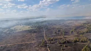 Лесной пожар в области Абай тушили 11 дней