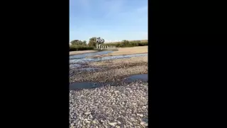 Жители ВКО обеспокоены состоянием Иртыша