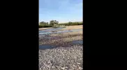 Жители ВКО обеспокоены состоянием Иртыша