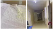 "Они на постели, на посуде, на еде". Пациентка больницы Балхаша пожаловалась на муравьев