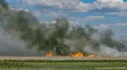 Крупный пожар ликвидировали менее чем за сутки в Улытау