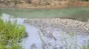 Окрасили реку в молочный цвет. Что произошло в Риддере