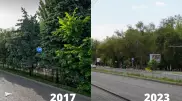 Тамырымен қосып тып-типыл еткен. Алматыда күннен-күнге жасыл желек азайып барады