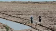 Сильная засуха ожидается в трех областях Казахстана