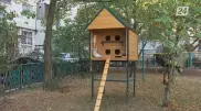 В Алматы установили новый домик с подогревом для уличных кошек