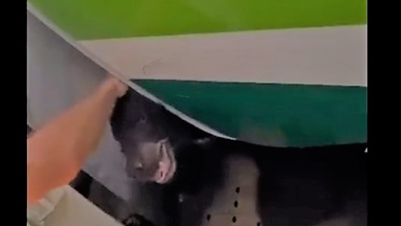 Кадр из видео