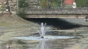 Главная река Кокшетау превращается в болото