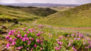 Жара, туманы и сильные дожди: погода в Казахстане на 11 августа