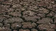 Вода из Кыргызстана не подается. Ситуацию в Жамбылской области назвали критической