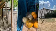 Гнилые овощи и душ на улице: что увидели павлодарские прокуроры в летних лагерях