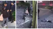 МВД начало расследование в связи с инцидентом в цветочном магазине Шымкента