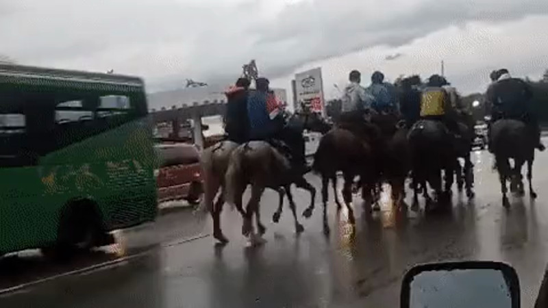 Кадры из видео