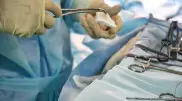 "Не заметили батарейку в пищеводе у ребенка": врачи ответили на обвинения
