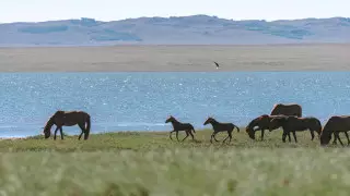 Снег, туманы и 39-градусная жара: погода в Казахстане на 17 августа