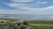 Дефицит воды в Алматинской области: фермеры могут остаться без урожая