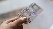 Сколько казахстанцев лишились водительских прав с начала года