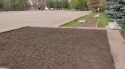 "Люди в Костанае очень культурные": аким высказался о вытоптанных клумбах в день города