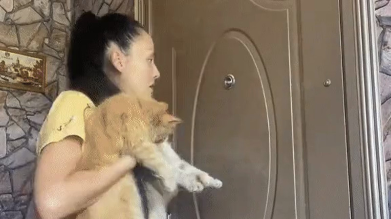 Кадры из видео