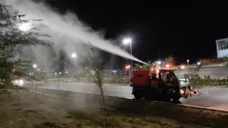 Биологические препараты распылят в Алматы: названа причина