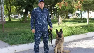 Житель Шымкента убил брата за нравоучения по поводу наркотиков