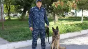 Житель Шымкента убил брата за нравоучения по поводу наркотиков