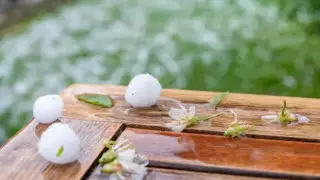 Шымкентцы делятся видео с крупным градом, прошедшим в городе