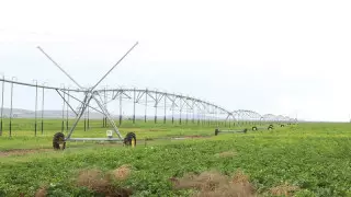 Как в Карагандинской области увеличивают орошаемое земледелие