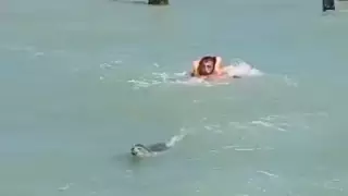 Тюлень навел панику на купающихся в Каспии людей