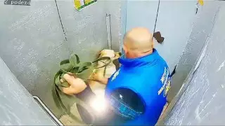 Мужчина избил собаку в лифте многоэтажки в Костанае