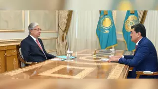 Лесные пожары, стихийные свалки. О чем Токаев говорил новому министру экологии