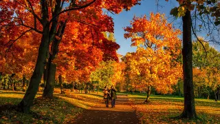 Чем "бабье лето" опасно для здоровья, рассказали врачи