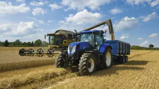 У казахстанского зерна проблемы из-за осадков